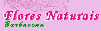 Logomarca Flores Naturais Barbacena